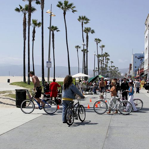 People biking and walking on a boardwalk by the beach, lined with palm trees and shops.