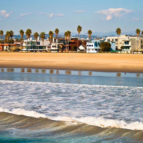 The image shows a sunny beach with gentle waves, a sandy shore, palm trees, and various buildings in the background.