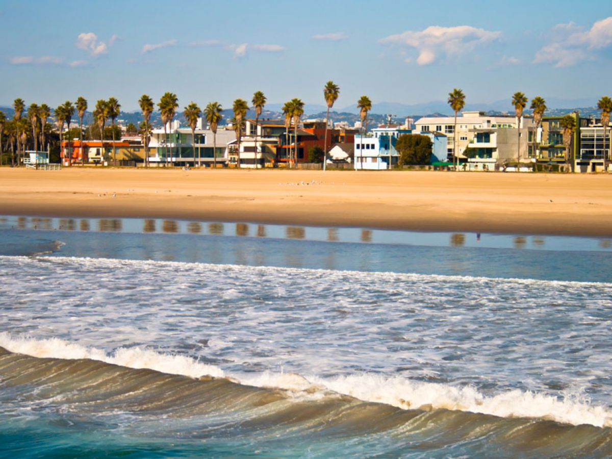 The image shows a beach with waves crashing onto the shore, a line of palm trees, and buildings in the background under a clear sky.