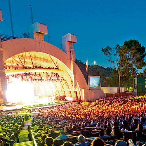 An open-air concert venue with an illuminated stage, a large audience seated, and surrounding trees under a clear sky.